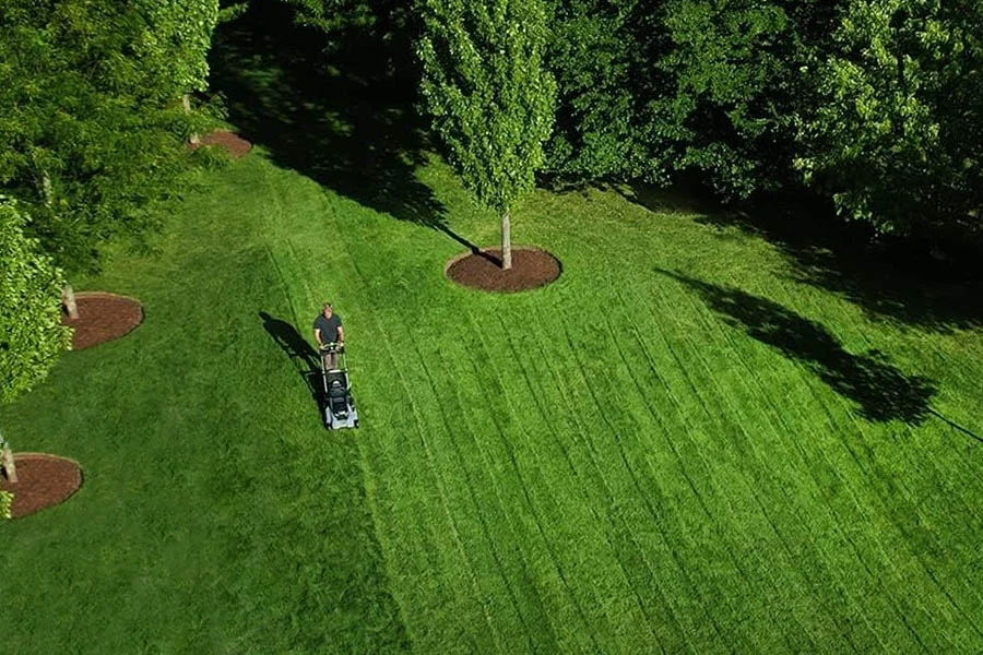 cordless electric mowers